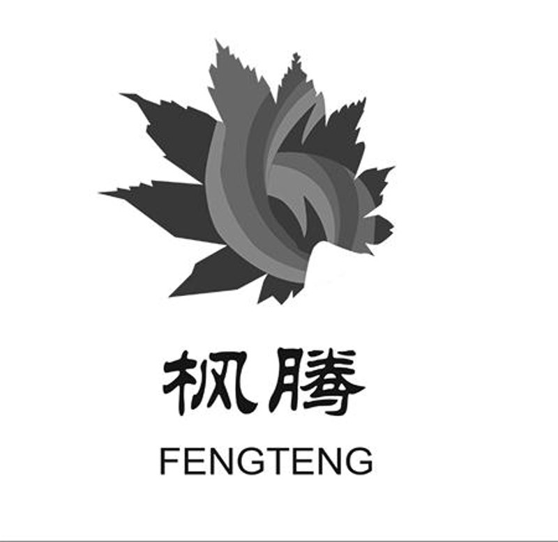 枫腾科技官网:科技与生态的完美融合